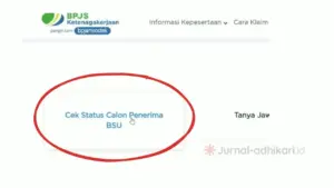 Cek BSU 2026 Kemnaker Dengan NIK Serta Syarat Resmi BPJS Ketenagakerjaan